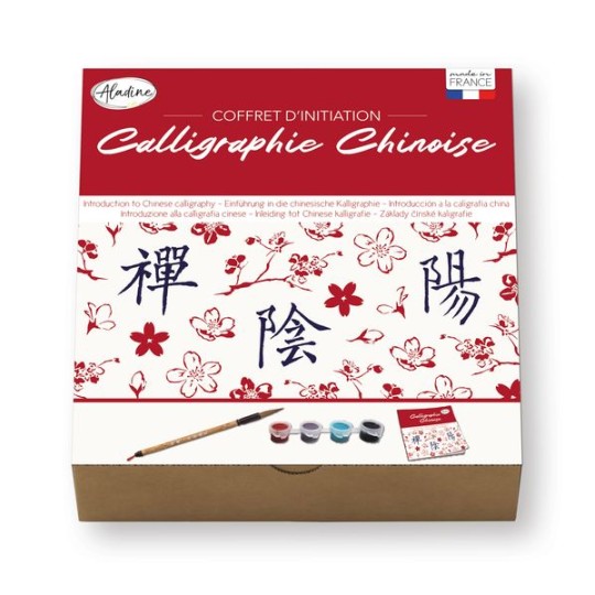 Aladine Kit Initiation Calligraphie Chinoise - Pinceau, 2 Encres Et Cahier 14 Pages Pour Apprendre Les Idéogrammes Chinois Adultes Et Enfants