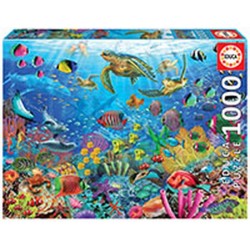 EDUCA-1000 SCHILDPADDEN IN...