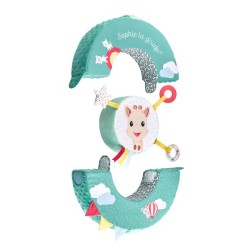 *VULLI-ROUE DE MOTRICITÉ