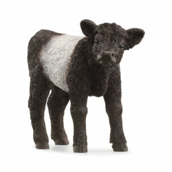 SCHLEICH-GALLOWAY KALF