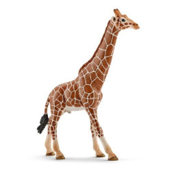 SCHLEICH-GIRAFE MÂLE