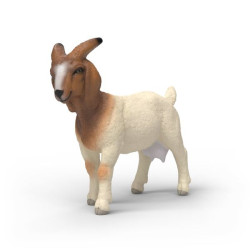 SCHLEICH-CHÈVRE BOER