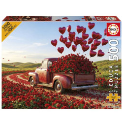 EDUCA-500 PICKUP DE LA...