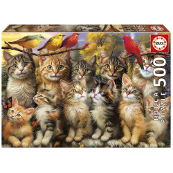 EDUCA-500 KATTEN EN VOGELS